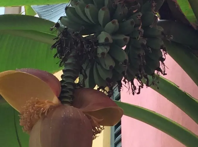 Casa Colloredo Free Parking